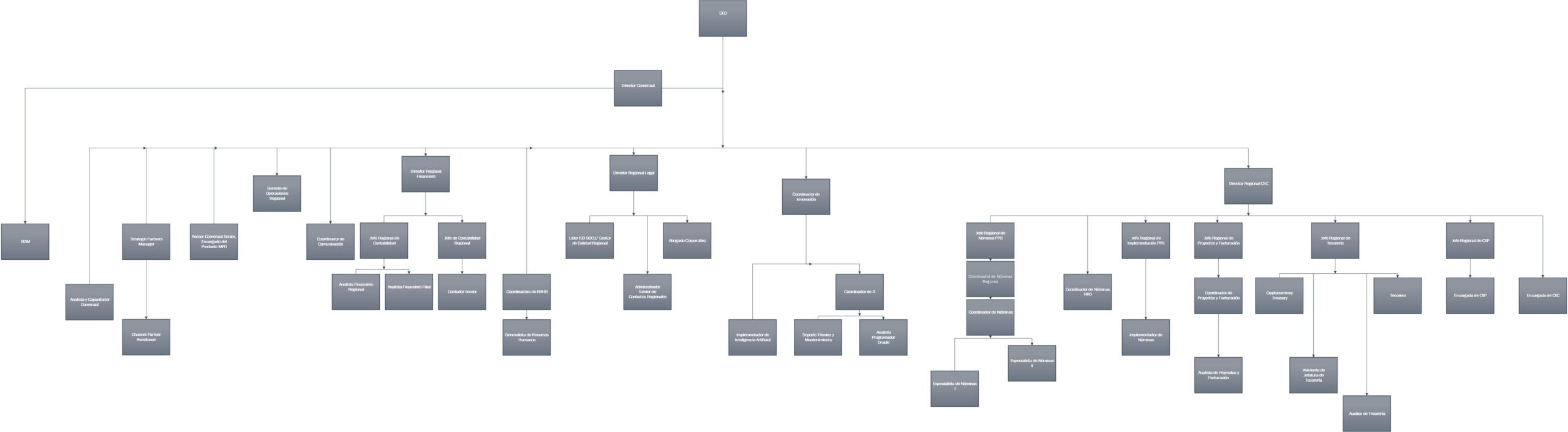 ORGANIGRAMA COORPORATIVO